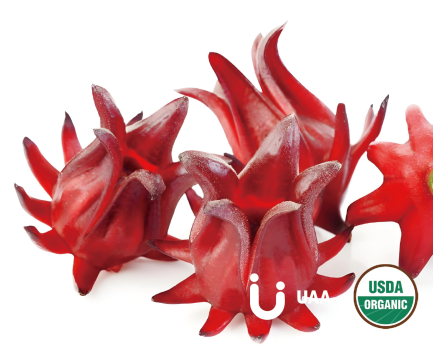 Organic Roselle/Hibiscus Extract/Powder