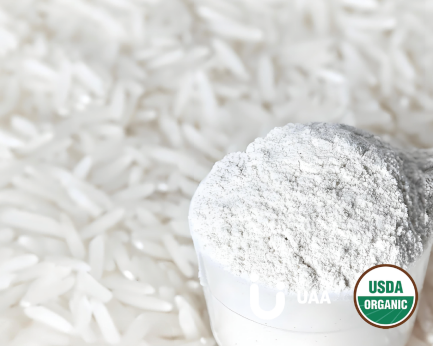 Organic Rice Protein Powder