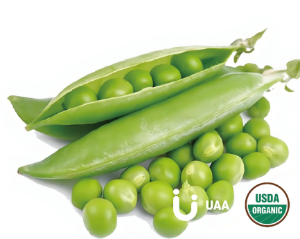 Organic Pea Protein/Starch