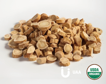 Dong Quai Root Powder/Extract