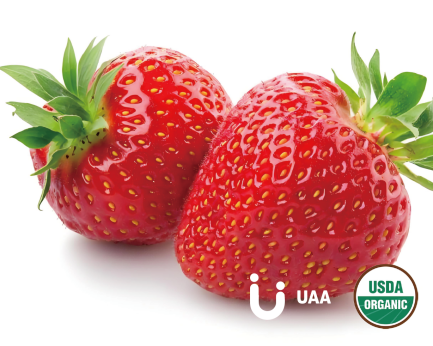 Organic Strawberry Powder/Juice Powder/Extract