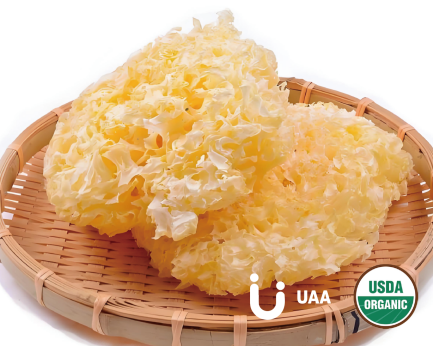 Organic White Fungus (Tremellafuciformis) Powder/Extract