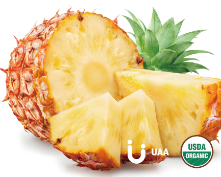 Organic Pineapple Powder/Juice Powder/Extract