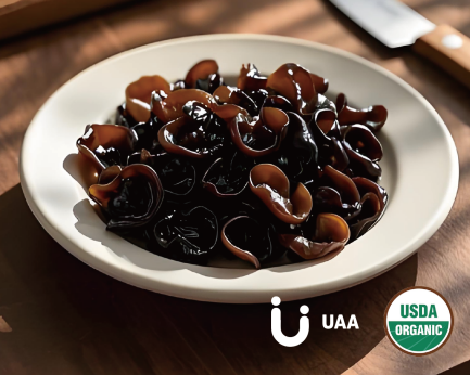 Black Fungus (Auricularia auricula ) Powder/Extract