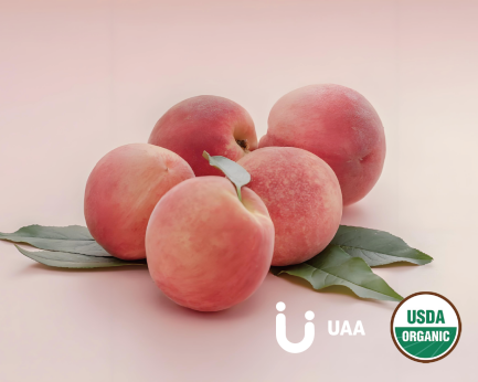 Organic Peach Juice Powder/Fruit Powder/Extract