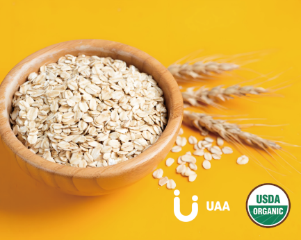 Organic Oat straw Powder/Extract