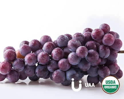 Grape (Juice Powder/Powder/Extract）