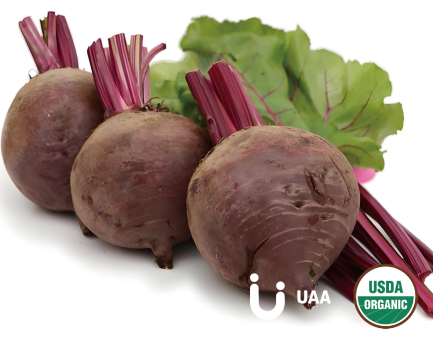 Beet Root Powder/Juice Powder/Extract