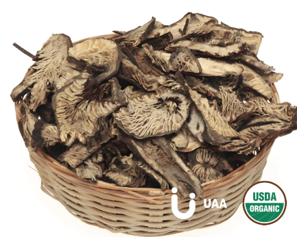 Black Cohosh Powder/Extract