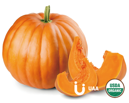 Organic Pumpkin Juice Powder/Fruit Powder/Extract