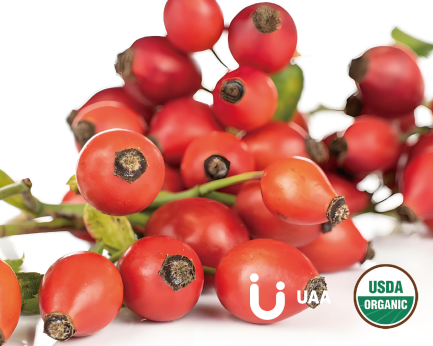 Organic Rosehips/Fructus Rosae Powder/Extract