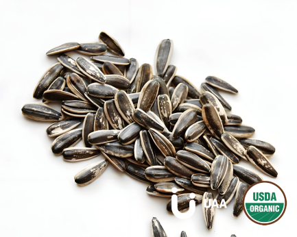 Organic Sunflower seed oil