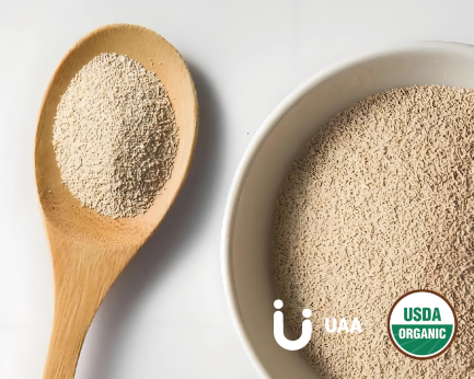 Organic Yeast Extract
