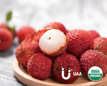 Organic Lychee powder