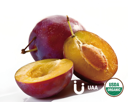 Organic Plum Powder/Extract