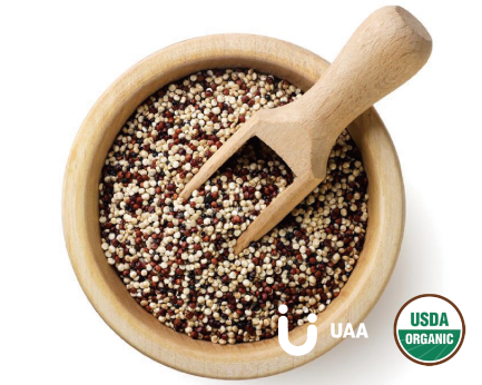 Organic Quinoa Milk Powder/Flour