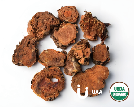 Organic Rhodiola Rosea Powder/Extract