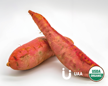 Organic Sweet potato powder