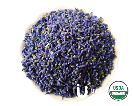Lavender/Dry Lavender Flower Dried/Powder/Extract