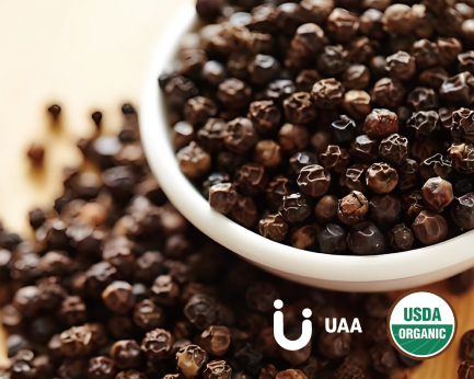 Black Pepper Powder/Extract