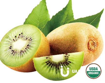 Kiwifruit/Chinese Goosebeery Powder/Juice Powder/Extract