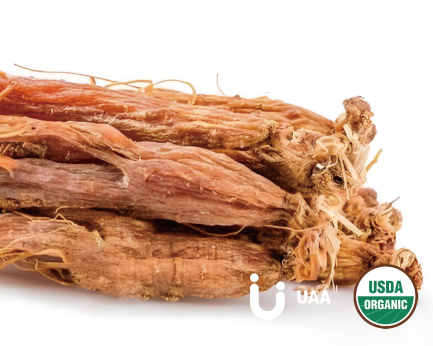 Organic Red Ginseng Powder/Extract