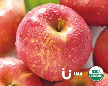 Apple Cider Vinegar Powder