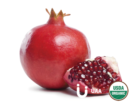 Organic Pomegranate Powder/Juice Powder/Extract