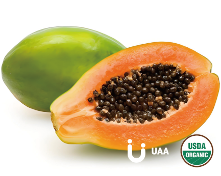 Organic Papaya Powder