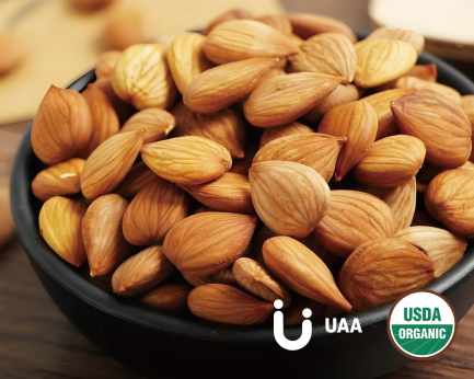 Bitter Apricot Kernels Powder/Extract