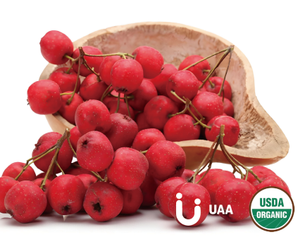 Hawthorn Leaves/Berry Powder/Extract