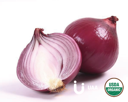 Organic Onion Powder