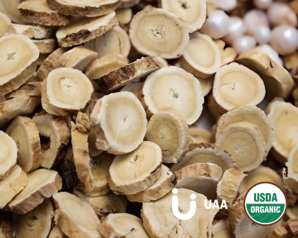 Astragalus Root Powder/Extract