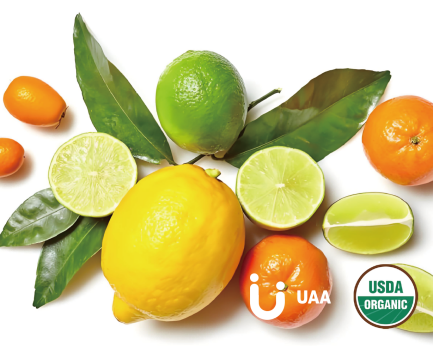 Citrus Limon Powder/Extract/Juice Powder