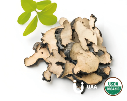 Organic Zhuling mushroom (Polyporus umbellatus) Powder /Extract