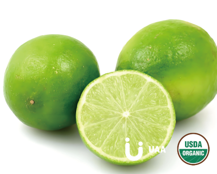 Organic Orange/Citrus sinensis (Extract, Juice Powder, Fruit Powder)