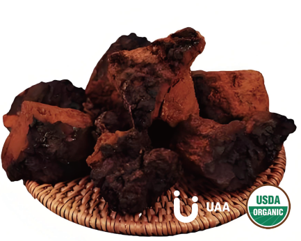 Chaga Mushroom Powder/Extract