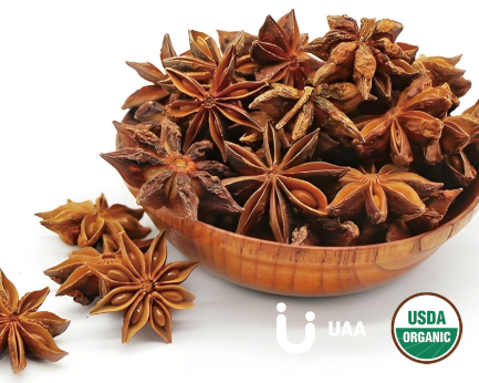 Organic Star Anise Powder/Extract