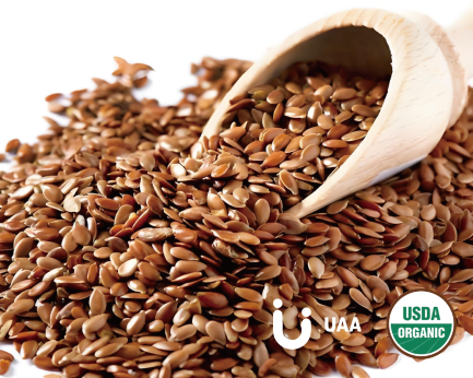 Flax Seed Powder/Extract