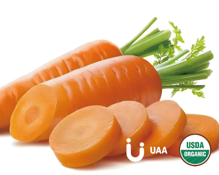 Carrot Powder/Juice Powder/Extract