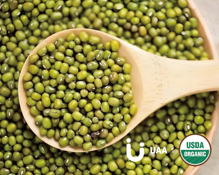 Organic Mung Bean Protein Powder