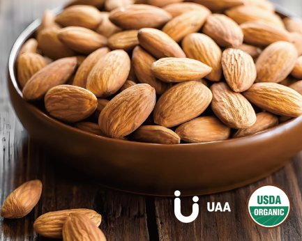 Almond Milk Powder/Flour