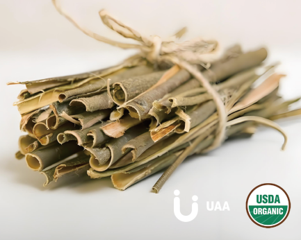 Organic White Willow Powder/Extract