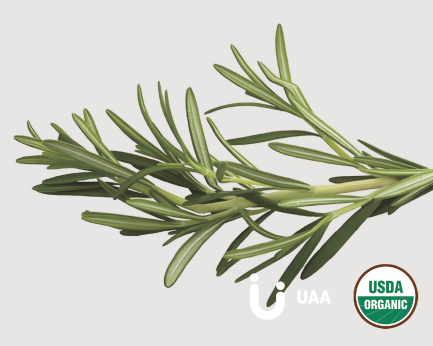Organic Rosemary Extract