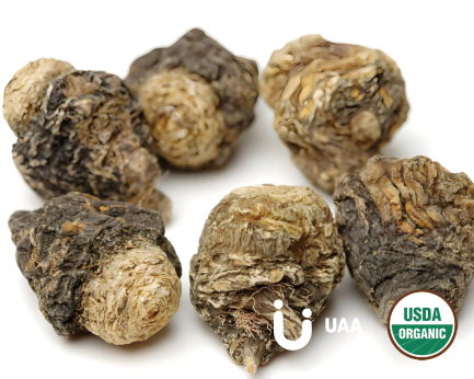 Organic Maca Extract