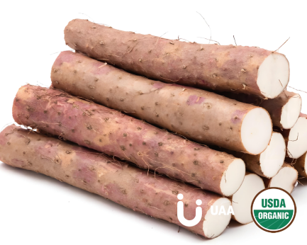 Organic Yam Extract Powder/Extract