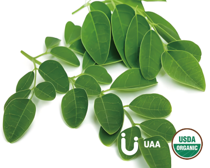 Organic Moringa Leaf (Powder/Extract)