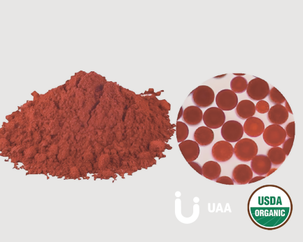 Haematococcus pluvialis Powder（Astaxanthin）
