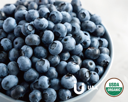 Blueberry juice Powder/Extract/Powder