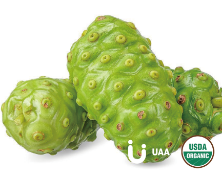 Organic Noni Fruit Powder/Extract